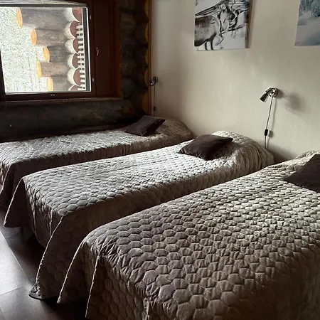 Snowflake - Stylish In Levi, Finland *