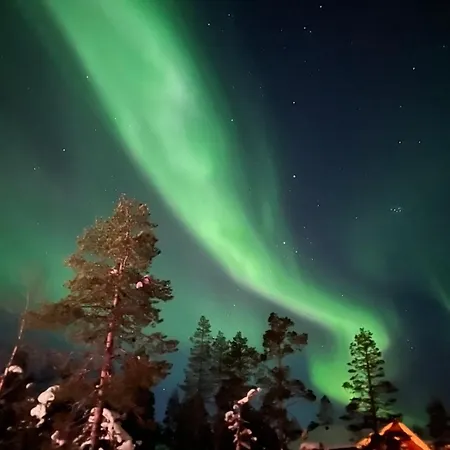 Snowflake - Stylish In Levi, Finland