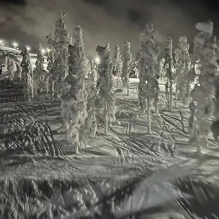 Snowflake - Stylish In Levi, Finland Вилла