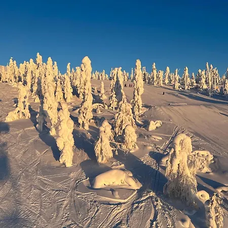 Villa Snowflake - Stylish In Levi, Finland Kittilä