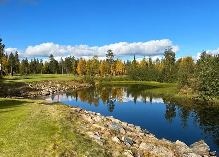 فيلة Snowflake - Stylish In Levi, Finland