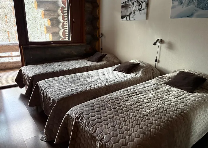 Snowflake - Stylish In Levi, Finland *