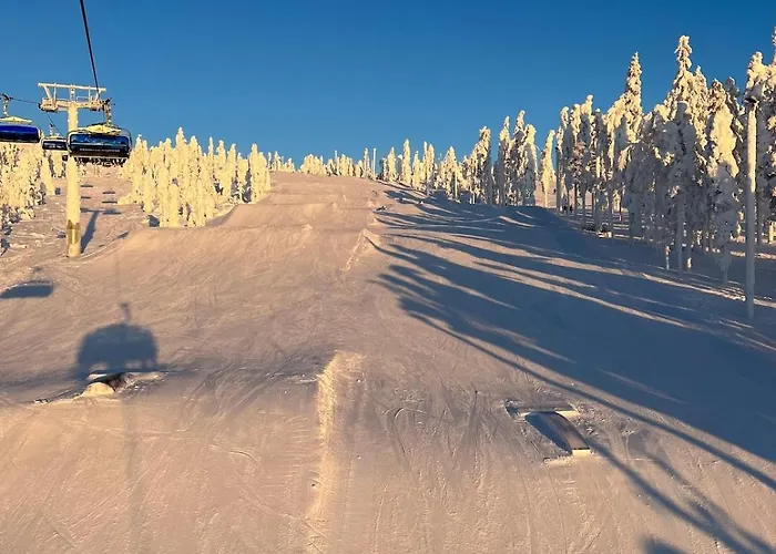 Snowflake - Stylish In Levi, Finland فيلة *