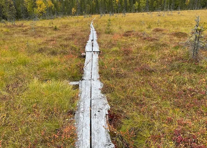 Snowflake - Stylish In Levi, Finland *