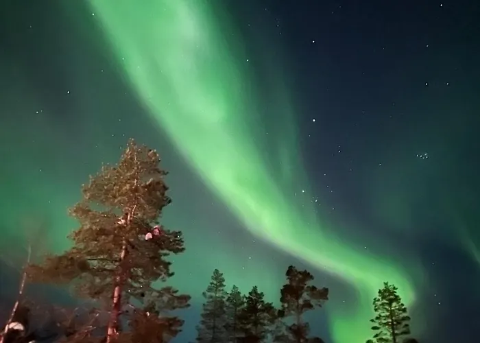 Snowflake - Stylish In Levi, Finland