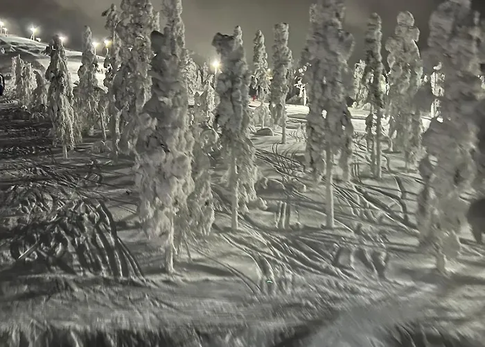 Snowflake - Stylish In Levi, Finland فيلة