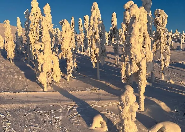 فيلة Snowflake - Stylish In Levi, Finland Kittilä
