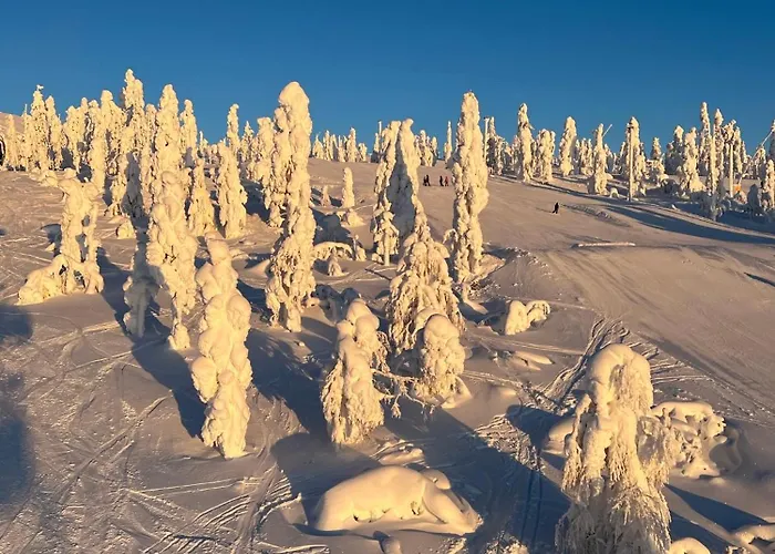 فيلة Snowflake - Stylish In Levi, Finland Kittilä